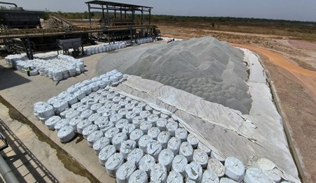 Press Releases and Articles